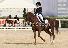 Gianesini_Aristotilas_CampItaAr_2012_SS4_1125.JPG : ARISTOTILAS, Campionati Italiani Dressage 2012, GIANESINI CHIARA, foto di Stefano Secchi ©