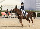 Gianesini_Aristotilas_CampItaAr_2012_SS4_1126.JPG : ARISTOTILAS, Campionati Italiani Dressage 2012, GIANESINI CHIARA, foto di Stefano Secchi ©