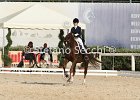 Gianesini_Aristotilas_CampItaAr_2012_SS4_1145.JPG : ARISTOTILAS, Campionati Italiani Dressage 2012, GIANESINI CHIARA, foto di Stefano Secchi ©