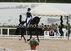 Guarda_Urlando_CampItaAr_2012_SS4_1797.JPG : Campionati Italiani Dressage 2012, GUARDA NARDINI EUGENIA, URLANDO, foto di Stefano Secchi ©