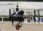 Guarda_Urlando_CampItaAr_2012_SS4_1798.JPG : Campionati Italiani Dressage 2012, GUARDA NARDINI EUGENIA, URLANDO, foto di Stefano Secchi ©