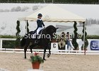 Guarda_Urlando_CampItaAr_2012_SS4_1799.JPG : Campionati Italiani Dressage 2012, GUARDA NARDINI EUGENIA, URLANDO, foto di Stefano Secchi ©