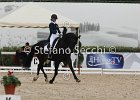 Guarda_Urlando_CampItaAr_2012_SS4_1800.JPG : Campionati Italiani Dressage 2012, GUARDA NARDINI EUGENIA, URLANDO, foto di Stefano Secchi ©