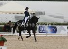 Guarda_Urlando_CampItaAr_2012_SS4_1801.JPG : Campionati Italiani Dressage 2012, GUARDA NARDINI EUGENIA, URLANDO, foto di Stefano Secchi ©