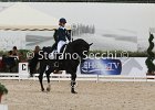 Guarda_Urlando_CampItaAr_2012_SS4_1802.JPG : Campionati Italiani Dressage 2012, GUARDA NARDINI EUGENIA, URLANDO, foto di Stefano Secchi ©