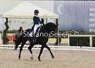 Guarda_Urlando_CampItaAr_2012_SS4_1804.JPG : Campionati Italiani Dressage 2012, GUARDA NARDINI EUGENIA, URLANDO, foto di Stefano Secchi ©