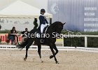 Guarda_Urlando_CampItaAr_2012_SS4_1806.JPG : Campionati Italiani Dressage 2012, GUARDA NARDINI EUGENIA, URLANDO, foto di Stefano Secchi ©