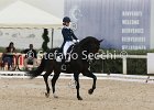 Guarda_Urlando_CampItaAr_2012_SS4_1807.JPG : Campionati Italiani Dressage 2012, GUARDA NARDINI EUGENIA, URLANDO, foto di Stefano Secchi ©