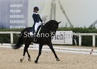 Guarda_Urlando_CampItaAr_2012_SS4_1809.JPG : Campionati Italiani Dressage 2012, GUARDA NARDINI EUGENIA, URLANDO, foto di Stefano Secchi ©