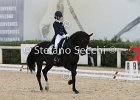 Guarda_Urlando_CampItaAr_2012_SS4_1811.JPG : Campionati Italiani Dressage 2012, GUARDA NARDINI EUGENIA, URLANDO, foto di Stefano Secchi ©