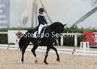 Guarda_Urlando_CampItaAr_2012_SS4_1812.JPG : Campionati Italiani Dressage 2012, GUARDA NARDINI EUGENIA, URLANDO, foto di Stefano Secchi ©