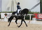 Guarda_Urlando_CampItaAr_2012_SS4_1813.JPG : Campionati Italiani Dressage 2012, GUARDA NARDINI EUGENIA, URLANDO, foto di Stefano Secchi ©
