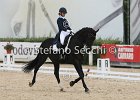 Guarda_Urlando_CampItaAr_2012_SS4_1814.JPG : Campionati Italiani Dressage 2012, GUARDA NARDINI EUGENIA, URLANDO, foto di Stefano Secchi ©
