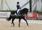 Guarda_Urlando_CampItaAr_2012_SS4_1816.JPG : Campionati Italiani Dressage 2012, GUARDA NARDINI EUGENIA, URLANDO, foto di Stefano Secchi ©