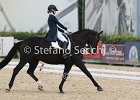 Guarda_Urlando_CampItaAr_2012_SS4_1817.JPG : Campionati Italiani Dressage 2012, GUARDA NARDINI EUGENIA, URLANDO, foto di Stefano Secchi ©