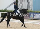 Guarda_Urlando_CampItaAr_2012_SS4_1819.JPG : Campionati Italiani Dressage 2012, GUARDA NARDINI EUGENIA, URLANDO, foto di Stefano Secchi ©