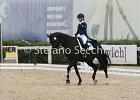 Guarda_Urlando_CampItaAr_2012_SS4_1821.JPG : Campionati Italiani Dressage 2012, GUARDA NARDINI EUGENIA, URLANDO, foto di Stefano Secchi ©