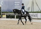 Guarda_Urlando_CampItaAr_2012_SS4_1822.JPG : Campionati Italiani Dressage 2012, GUARDA NARDINI EUGENIA, URLANDO, foto di Stefano Secchi ©