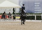 Guarda_Urlando_CampItaAr_2012_SS4_1824.JPG : Campionati Italiani Dressage 2012, GUARDA NARDINI EUGENIA, URLANDO, foto di Stefano Secchi ©