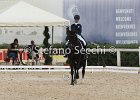 Guarda_Urlando_CampItaAr_2012_SS4_1825.JPG : Campionati Italiani Dressage 2012, GUARDA NARDINI EUGENIA, URLANDO, foto di Stefano Secchi ©