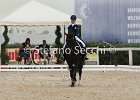 Guarda_Urlando_CampItaAr_2012_SS4_1827.JPG : Campionati Italiani Dressage 2012, GUARDA NARDINI EUGENIA, URLANDO, foto di Stefano Secchi ©