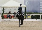 Guarda_Urlando_CampItaAr_2012_SS4_1829.JPG : Campionati Italiani Dressage 2012, GUARDA NARDINI EUGENIA, URLANDO, foto di Stefano Secchi ©