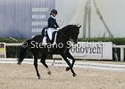 Guarda_Urlando_CampItaAr_2012_SS4_1845.JPG : Campionati Italiani Dressage 2012, GUARDA NARDINI EUGENIA, URLANDO, foto di Stefano Secchi ©