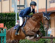 Angoli Quotata GioCav2013 S5 4181 : Angoli Kevin, Campionati Italiani Giovani Cavalli, Cattolica, Quotata di Villanova, ph Stefano Secchi ©