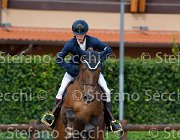 Angoli Quotata GioCav2013 S5 4183 : Angoli Kevin, Campionati Italiani Giovani Cavalli, Cattolica, Quotata di Villanova, ph Stefano Secchi ©