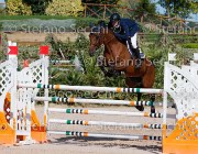 Bassan Bupina GioCav2013 S5 1703 : Bassan Filippo, Bupina, Campionati Italiani Giovani Cavalli, Cattolica, ph Stefano Secchi ©