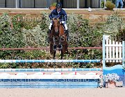 Bassan Bupina GioCav2013 S5 1710 : Bassan Filippo, Bupina, Campionati Italiani Giovani Cavalli, Cattolica, ph Stefano Secchi ©