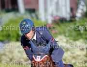 BICOCCHI Ares GioCav2013 S5 4655 : Ares, BICOCCHI Emilio, Horses, ph Stefano Secchi ©