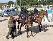 BICOCCHI Ares GioCav2013 S6 7898 : Ares, BICOCCHI Emilio, Horses, ph Stefano Secchi ©