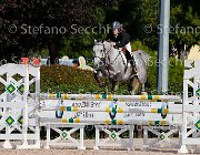 Brilli Dahlila GioCav2013 S5 1239 : Brilli Sara, Campionati Italiani Giovani Cavalli, Cattolica, Dahlila, ph Stefano Secchi ©
