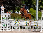 Cherubini Norma GioCav2013 S5 1230 : Campionati Italiani Giovani Cavalli, Cattolica, Cherubini Veronica, Norma, ph Stefano Secchi ©