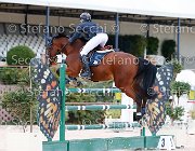 Cuva Billecart GioCav2013 S5 2263 : Billecart Baloubet, Campionati Italiani Giovani Cavalli, Cattolica, Cuva Daniele, ph Stefano Secchi ©