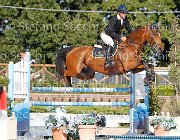 FERRARIO Acamar GioCav2013 S6 7516 : Acamar, Campionati Italiani Giovani Cavalli, Cattolica, FERRARIO Massimiliano, ph Stefano Secchi ©