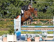 FRANA Arcibaldo GioCav2013 S6 7628 : Arcibaldo, Campionati Italiani Giovani Cavalli, Cattolica, FRANA Enrico Maria, ph Stefano Secchi ©