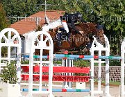 FRANA Arcibaldo GioCav2013 S6 7631 : Arcibaldo, Campionati Italiani Giovani Cavalli, Cattolica, FRANA Enrico Maria, ph Stefano Secchi ©