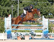 FRANA Pakitas GioCav2013 S6 7523 : Campionati Italiani Giovani Cavalli, Cattolica, FRANA Enrico Maria, Pakitas, ph Stefano Secchi ©