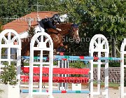 FRANA Pakitas GioCav2013 S6 7525 : Campionati Italiani Giovani Cavalli, Cattolica, FRANA Enrico Maria, Pakitas, ph Stefano Secchi ©