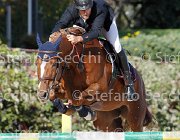 FRANA Pakitas GioCav2013 S6 7528 : Campionati Italiani Giovani Cavalli, Cattolica, FRANA Enrico Maria, Pakitas, ph Stefano Secchi ©