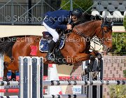 FRANCO CSI GioCav2013 S5 1720 : CSI, Campionati Italiani Giovani Cavalli, Cattolica, FRANCO Francesco, ph Stefano Secchi ©