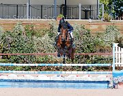 FRANCO CSI GioCav2013 S5 1724 : CSI, Campionati Italiani Giovani Cavalli, Cattolica, FRANCO Francesco, ph Stefano Secchi ©
