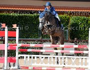 Galeazzi Penombra GioCav2013 S5 4536 : Campionati Italiani Giovani Cavalli, Cattolica, Galeazzi Chiara, Penombra dell'Armonia, ph Stefano Secchi ©