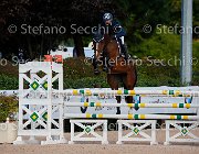 Gozzini CAntina GioCav2013 S5 1572 : CAntina, Campionati Italiani Giovani Cavalli, Cattolica, Gozzini Cristian, ph Stefano Secchi ©