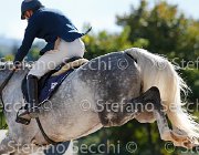 Gozzini Dithara GioCav2013 S5 3314 : Campionati Italiani Giovani Cavalli, Cattolica, Dithara, Gozzini Cristian, ph Stefano Secchi ©