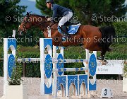 Iriu Piberita GioCav2013 S5 3656 : Campionati Italiani Giovani Cavalli, Cattolica, Iriu Francesco, Piberita, ph Stefano Secchi ©