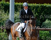 Maio Dahlia GioCav2013 S5 4499 : Campionati Italiani Giovani Cavalli, Cattolica, Dahlia della Verdina, Maio Pietro, ph Stefano Secchi ©