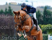 Martinengo Sunic GioCav2013 S5 3052 : Campionati Italiani Giovani Cavalli, Cattolica, Martinengo Riccardo, Sunic, ph Stefano Secchi ©